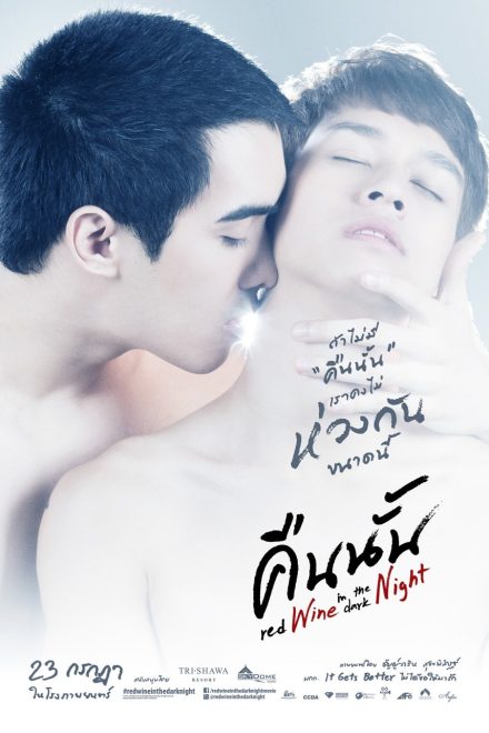 Poster for Red Wine in the Dark Night (2015)