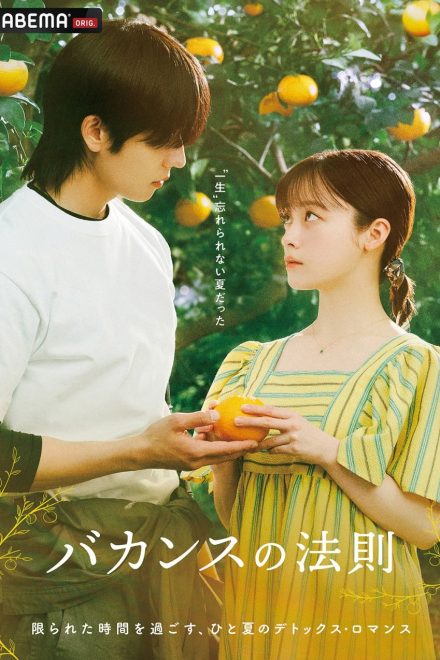 Poster for The Vacation Principle (2026)